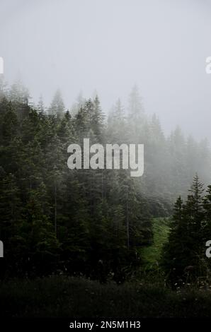 Paesaggio naturale sulle montagne della Romania sentiero escursionistico Foto Stock