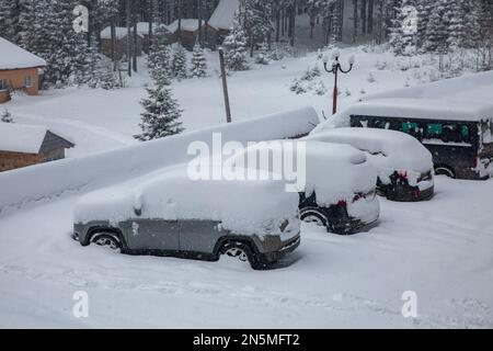 Auto sotto uno strato spesso di neve. Veicoli innevati durante una Blizzard invernale Foto Stock