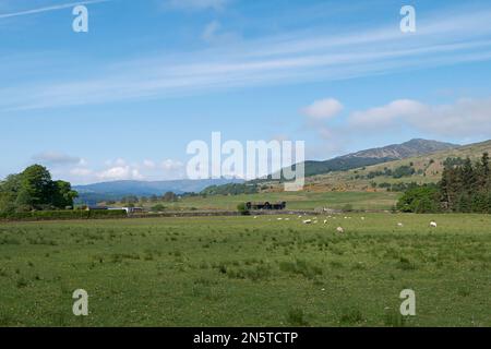 Ammira i campi fino a una fattoria di pecore, poi ben Ledi e un ben Venue molto distante, visto dal sentiero a piedi Rob Roy Way mentre viaggia verso est fino a Callander. Foto Stock