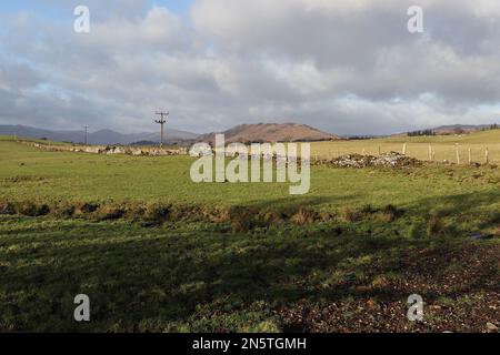 Vista sui campi fino a Conic Hill e oltre fino alle colline Luss. Vista dal sentiero a piedi Rob Roy Way, a nord di Drymen, Stirlingshire, Scozia. Foto Stock