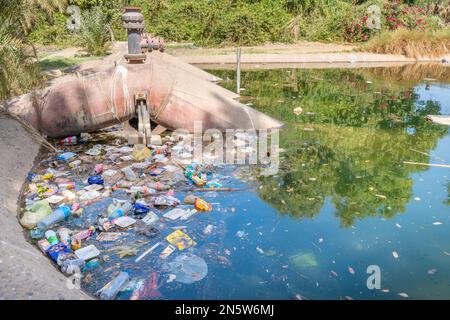 Rifiuti di plastica in uno stagno pompato dal fiume Nilo ad Assuan, Egitto Foto Stock