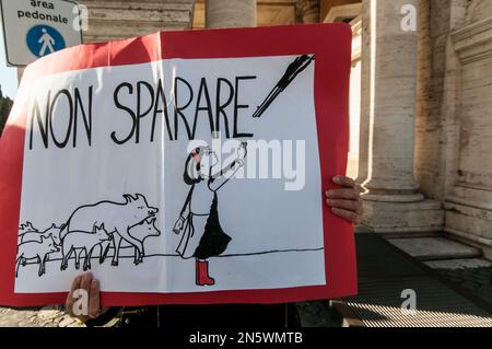 Roma, Italia, Italia. 7th Feb, 2023. Associazione degli animali sit-in in piazza del campidoglio collina, a Roma, per protestare contro l'abbattimento dei cinghiali nella capitale. (Credit Image: © Andrea Ronchini/Pacific Press via ZUMA Press Wire) SOLO PER USO EDITORIALE! Non per USO commerciale! Foto Stock