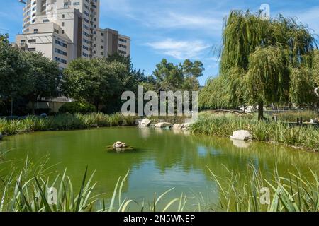 Il parco paesaggistico del Commonwealth a Gibilterra. Situato all'interno delle antiche mura della città, offre una tranquilla area ricreativa verde per tutti. Foto Stock