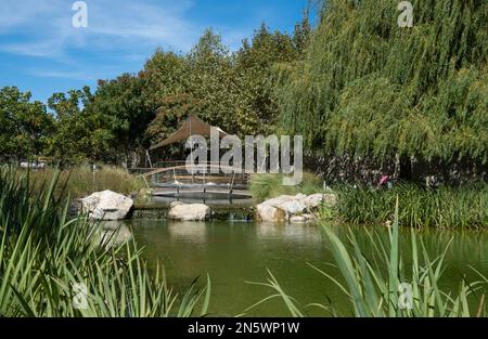 Il parco paesaggistico del Commonwealth a Gibilterra. Situato all'interno delle antiche mura della città, offre una tranquilla area ricreativa verde per tutti. Foto Stock