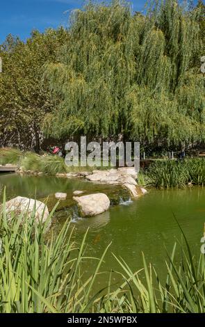 Il parco paesaggistico del Commonwealth a Gibilterra. Situato all'interno delle antiche mura della città, offre una tranquilla area ricreativa verde per tutti. Foto Stock