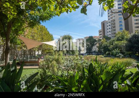 Il parco paesaggistico del Commonwealth a Gibilterra. Situato all'interno delle antiche mura della città, offre una tranquilla area ricreativa verde per tutti. Foto Stock