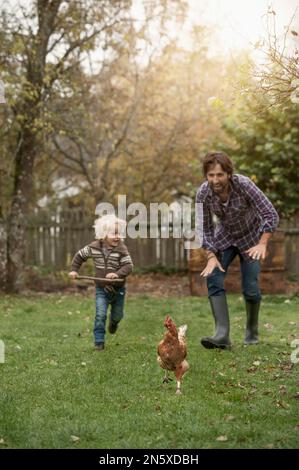 Padre e figlio stanno tracciando il pollo in fattoria, Baviera, Germania Foto Stock