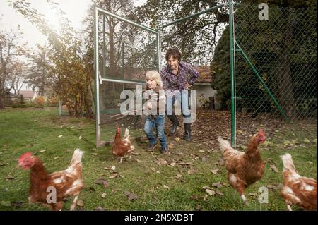 Padre e figlio stanno tracciando il pollo in fattoria, Baviera, Germania Foto Stock