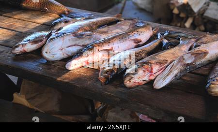 Una varietà di pesci di fiume dal fiume Amur sulla tavola del pescatore. Foto Stock