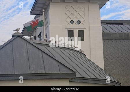 Gabbiani dalla testa nera che si radunano sul tetto del molo e padiglione di Penarth, Galles del Sud. Bandiera gallese del drago. Data febbraio 2023. inverno. Foto Stock