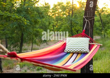 Amaca luminosa e confortevole con morbido cuscino nel giardino verde Foto Stock