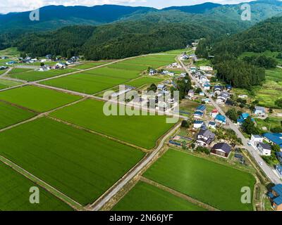 Campo di riso, case dei contadini, piedi delle montagne, Drone Aerial, Yokote City, Akita, Tohoku, Giappone, Asia orientale, Asia Foto Stock