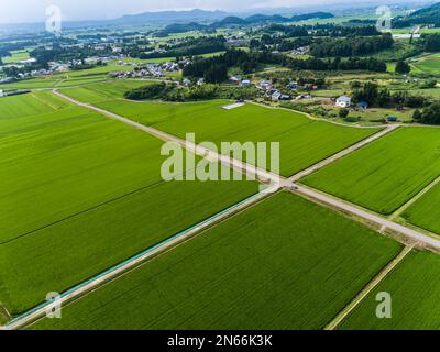 Campo di riso, case dei contadini, piedi delle montagne, Drone Aerial, Yokote City, Akita, Tohoku, Giappone, Asia orientale, Asia Foto Stock