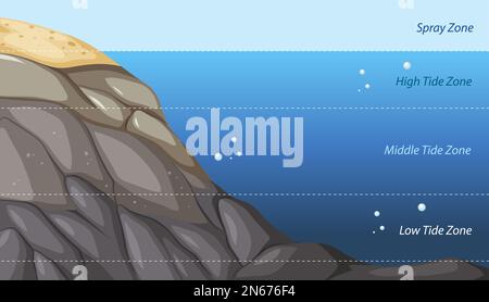 Illustrazione del diagramma di formazione della zonazione della costa rocciosa Illustrazione Vettoriale
