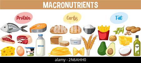 Principali gruppi alimentari macronutrients vettore illustrazione Illustrazione Vettoriale