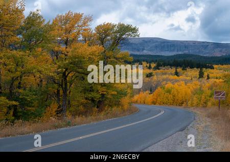 Glacier National Park in autunno, cartello con la scritta "Buckle Up, IT's the Law". Montana, Stati Uniti Foto Stock