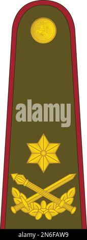 Spalla ufficiale militare insegne della Lituania BRIGADOS GENEROLAS (BRIGADIER GENERAL) Illustrazione Vettoriale