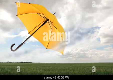 Ombrello aperto soffiato da vento busto all'aperto Foto Stock