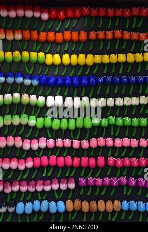 Tulipani di Amsterdam, tulipani di legno, souvenir, tulipani di legno come souvenir, Amsterdam, Olanda, Paesi Bassi Foto Stock