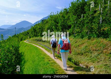 Escursionisti, anziani sulla Tschermser Waalweg, nei pressi di Marling, Burggrafenamt, Alto Adige, Italia Foto Stock