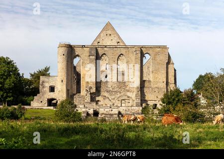 Rovine del monastero di Pirita, Pirita kloestri varemed, Tallinn, Estonia Foto Stock