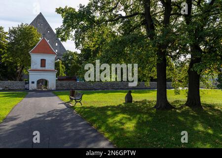 Ingresso al Convento di Pirita e alle rovine del Monastero, Pirita kloestri Varemed, Tallinn, Estonia Foto Stock