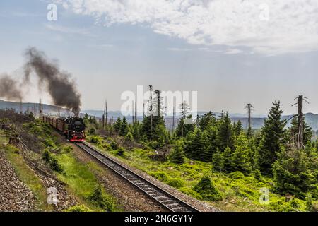 La ferrovia a scartamento ridotto Brockenbahn nella catena montuosa bassa tedesca Harz guida la montagna più alta Brocken. Spazio di copia. Foto Stock