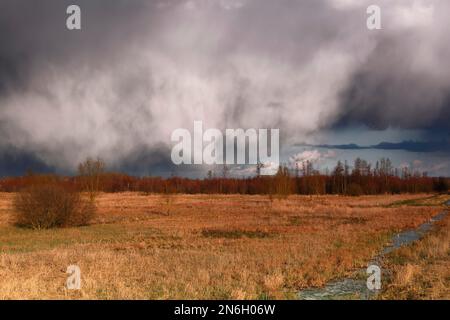 L'umore serale sopra un fossato nel Parco Naturale del Paesaggio del Fiume Peene Valley, Meclemburgo-Pomerania Occidentale, Germania Foto Stock