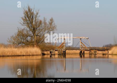 Storico ponte levatoio in legno sul Trebel vicino a Nehringen, Peene Valley River Landscape Nature Park, Meclemburgo-Pomerania occidentale, Germania Foto Stock