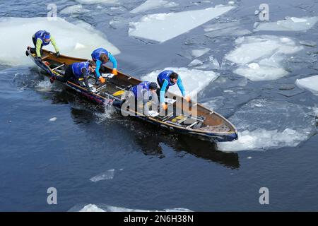 Corsa in canoa su ghiaccio, fiume San Lorenzo, Montreal, provincia del Quebec, Canada Foto Stock