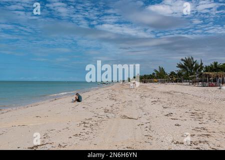 Spiaggia di sabbia bianca nella Riserva della Biosfera dell'UNESCO di Rio Celestun, Yucatan, Messico Foto Stock