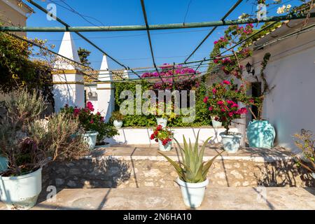 Giardino nel monastero di Paleokastritsa sull'isola di Corfù, Grecia Foto Stock