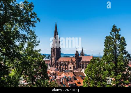 Vista sulla cattedrale di Friburgo in Breisgau (Freiburger Munster), Germania sud-occidentale. Spazio di copia. Foto Stock
