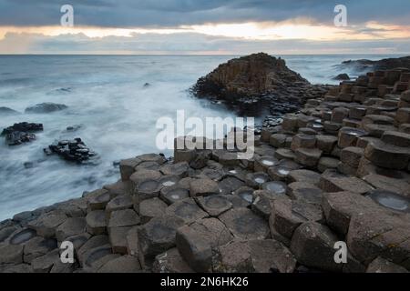 Basalt Rock Giant Causeway, Coleraine, Irlanda del Nord, Gran Bretagna Foto Stock