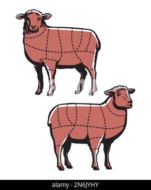 Taglio di agnello. Guida al taglio di una carta di carne di pecora per macelleria o ristorante. Illustrazione vettoriale del diagramma dei tagli di macelleria Illustrazione Vettoriale