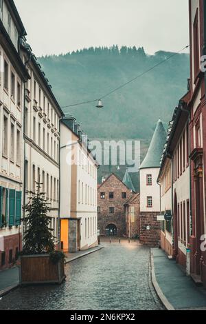 Ammira la strada di Marstall fino allo storico edificio Marstall dell'Unione studentesca a Heidelberg, Germania, verticale Foto Stock