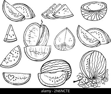Illustrazione vettoriale disegnata a mano - cocomero e fette di cocomero Illustrazione Vettoriale