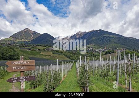 Paesaggio pittoresco nelle Alpi della regione escursionistica Val Passiria in Alto Adige , Italia Foto Stock