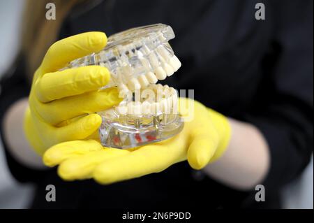 Mani in guanti gialli tenere una falsa mandibola dentista su un mockup primo piano, copia spazio dentista dimostra problemi con i denti sull'esempio della disposizione della mandibola Foto Stock