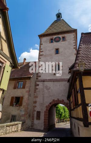 Bergheim, una piccola città sulla strada dei vins in Alsazia con edifici medievali, un muro difensivo e un'atmosfera incantevole Foto Stock