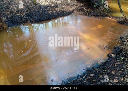 Sunningdale, Ascot, Berkshire, Regno Unito. Nonostante non vi sia stata pioggia recentemente, secondo la mappa interattiva di scarico dell'acqua del Tamigi, stamani stavano scaricando dal loro trabocco di tempesta presso la stazione di pompaggio di Blacknest a Sunningdale, Ascot, Berkshire. La tempesta trabocca si nutre del vicino lago d'acqua della Virginia, parte del Windsor Great Park. Anche se l'acqua nella zona contiene batteri di ferro (Sphaerotilus-Leptothrix) che si nutre di ferro in acqua formando ossidi di ferro rosso color ruggine, ci era una certa specie di inquinamento nei ruscelli vicini. Gli ambientalisti invitano i direttori Foto Stock