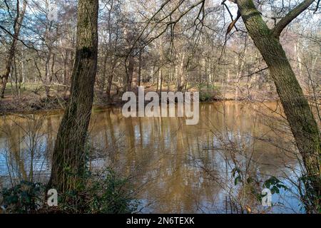 Sunningdale, Ascot, Berkshire, Regno Unito. Nonostante non vi sia stata pioggia recentemente, secondo la mappa interattiva di scarico dell'acqua del Tamigi, stamani stavano scaricando dal loro trabocco di tempesta presso la stazione di pompaggio di Blacknest a Sunningdale, Ascot, Berkshire. La tempesta traboccante si nutre nel vicino lago d'acqua della Virginia (nella foto), parte del Windsor Great Park. Anche se l'acqua nella zona contiene batteri di ferro (Sphaerotilus-Leptothrix) che si nutre di ferro in acqua formando ossidi di ferro rosso color ruggine, ci era una certa specie di inquinamento nei ruscelli vicini. Gli ambientalisti invocano il Foto Stock