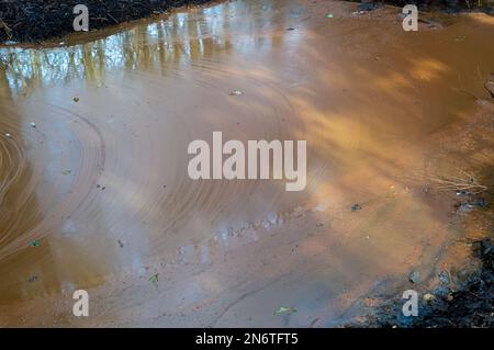 Sunningdale, Ascot, Berkshire, Regno Unito. Nonostante non vi sia stata pioggia recentemente, secondo la mappa interattiva di scarico dell'acqua del Tamigi, stamani stavano scaricando dal loro trabocco di tempesta presso la stazione di pompaggio di Blacknest a Sunningdale, Ascot, Berkshire. La tempesta trabocca si nutre del vicino lago d'acqua della Virginia, parte del Windsor Great Park. Anche se l'acqua nella zona contiene batteri di ferro (Sphaerotilus-Leptothrix) che si nutre di ferro in acqua formando ossidi di ferro rosso color ruggine, ci era una certa specie di inquinamento nei ruscelli vicini. Gli ambientalisti invitano i direttori Foto Stock