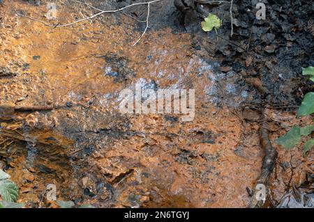 Sunningdale, Ascot, Berkshire, Regno Unito. Nonostante non vi sia stata pioggia recentemente, secondo la mappa interattiva di scarico dell'acqua del Tamigi, stamani stavano scaricando dal loro trabocco di tempesta presso la stazione di pompaggio di Blacknest a Sunningdale, Ascot, Berkshire. La tempesta trabocca si nutre del vicino lago d'acqua della Virginia, parte del Windsor Great Park. Anche se l'acqua nella zona contiene batteri di ferro (Sphaerotilus-Leptothrix) che si nutre di ferro in acqua formando ossidi di ferro rosso color ruggine, ci era una certa specie di inquinamento nei ruscelli vicini. Gli ambientalisti invitano i direttori Foto Stock