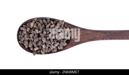 Semi di borragine in cucchiaio di legno, isolati su fondo bianco. Borago officinalis semi. Vista dall'alto Foto Stock