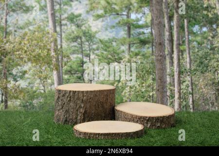 Legno podio tavolo top su erba verde natura all'aperto giardino tropicale foresta sfondo con vuoto space.Organic prodotto presente naturale piazzamento pedine Foto Stock