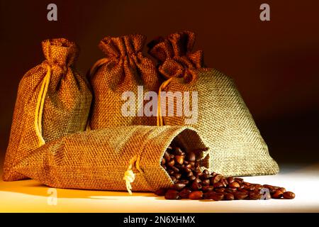 Sacchi di Hessian pieni di chicchi di caffè arrostiti che fuoriescono da un sacco aperto Foto Stock