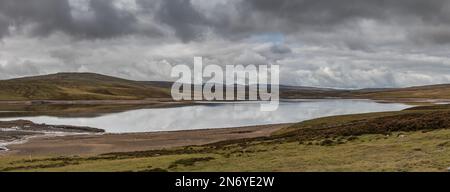 Riserva di Cow Green, Upper Teesdale Foto Stock