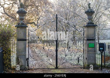 Porte di pavoni casa Margaretting Essex su una fredda e gelida mattina. Foto Stock