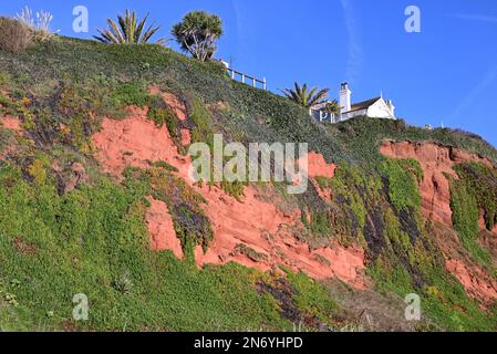 Scogliere di arenaria rossa accanto alla linea ferroviaria costiera a Dawlish, South Devon, che mostrano case e giardini vicino al bordo della scogliera. Foto Stock